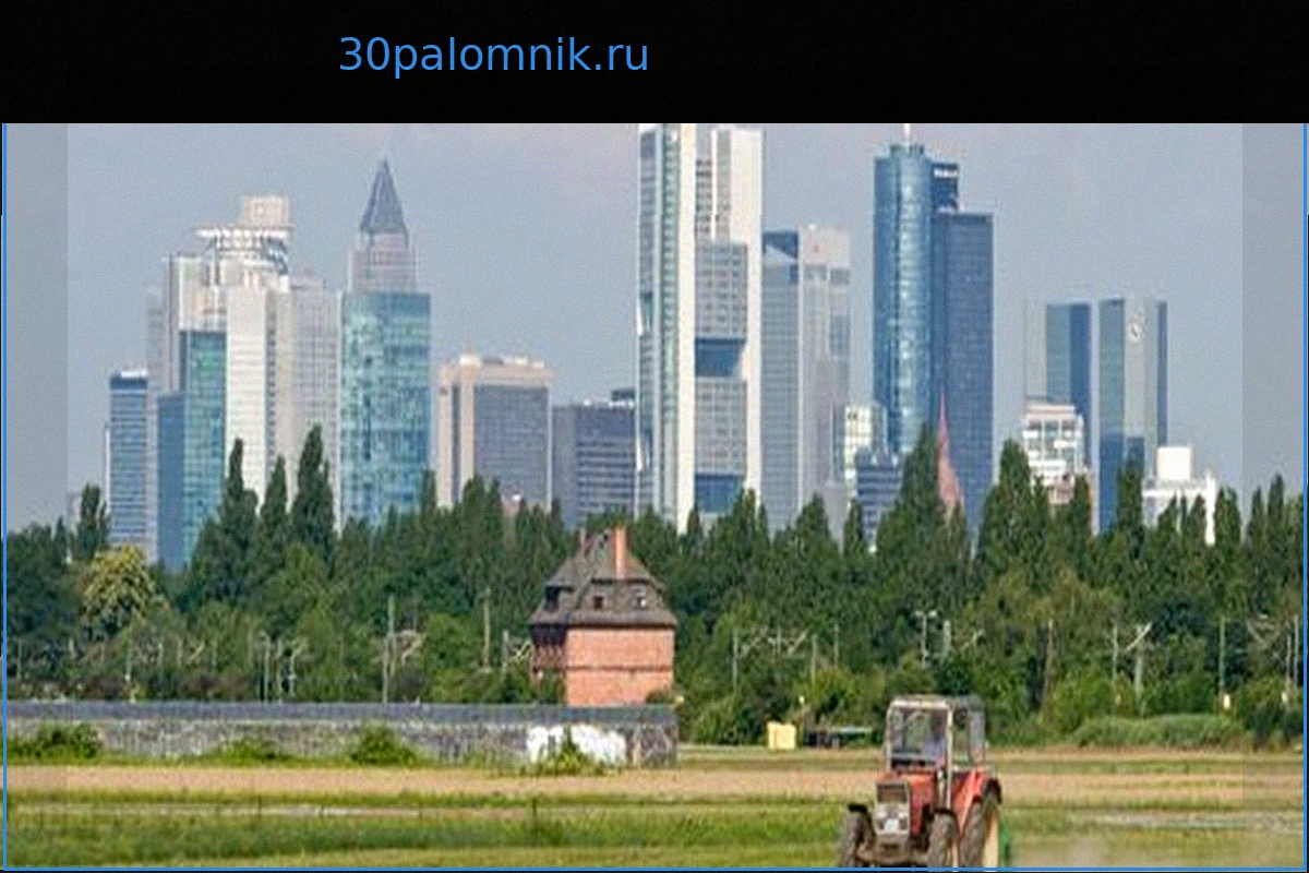 Книга об отчуждении города и деревни: Недоверие подрывает государственную стабильность