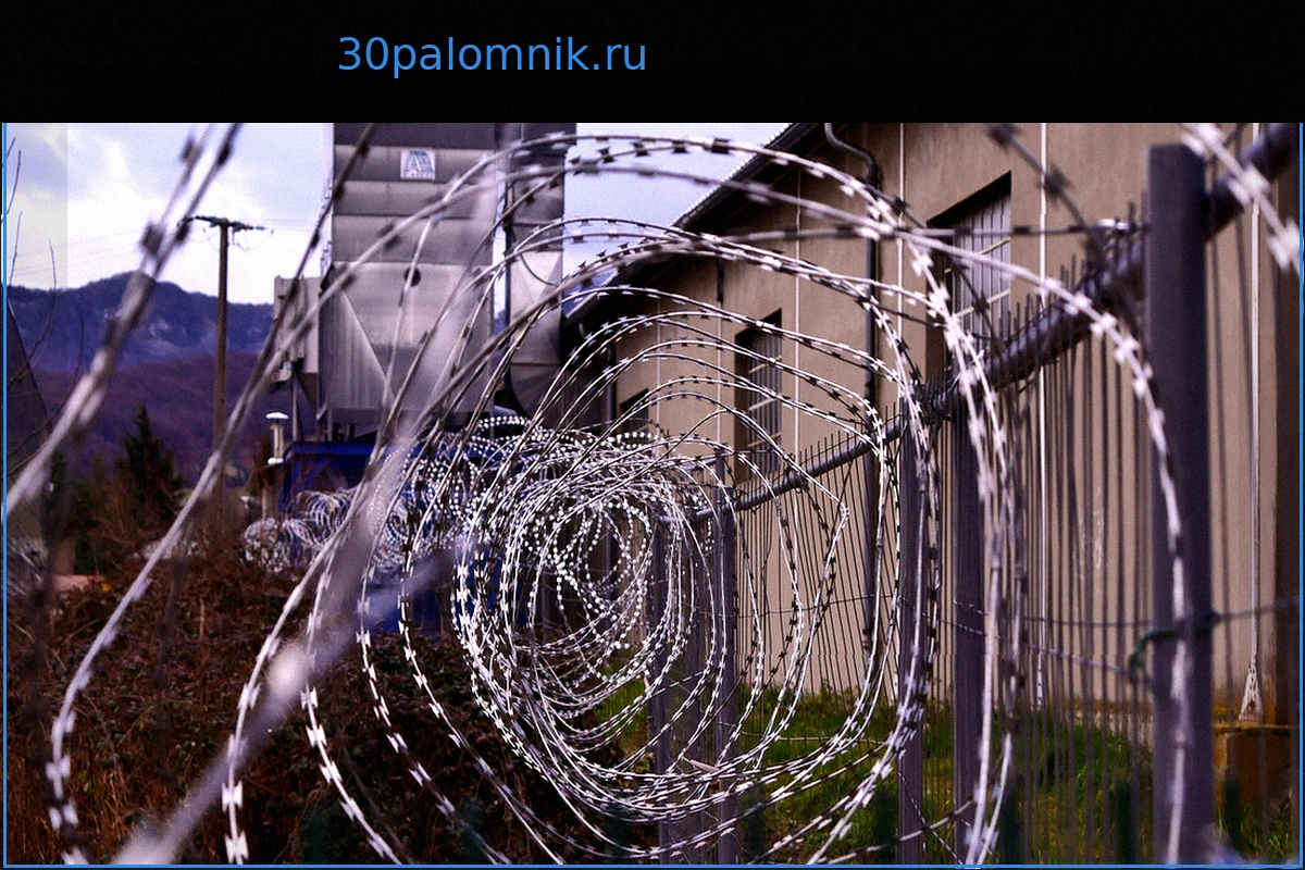 Приговор в Сочи: 6 лет колонии за оружие, найденное в дупле