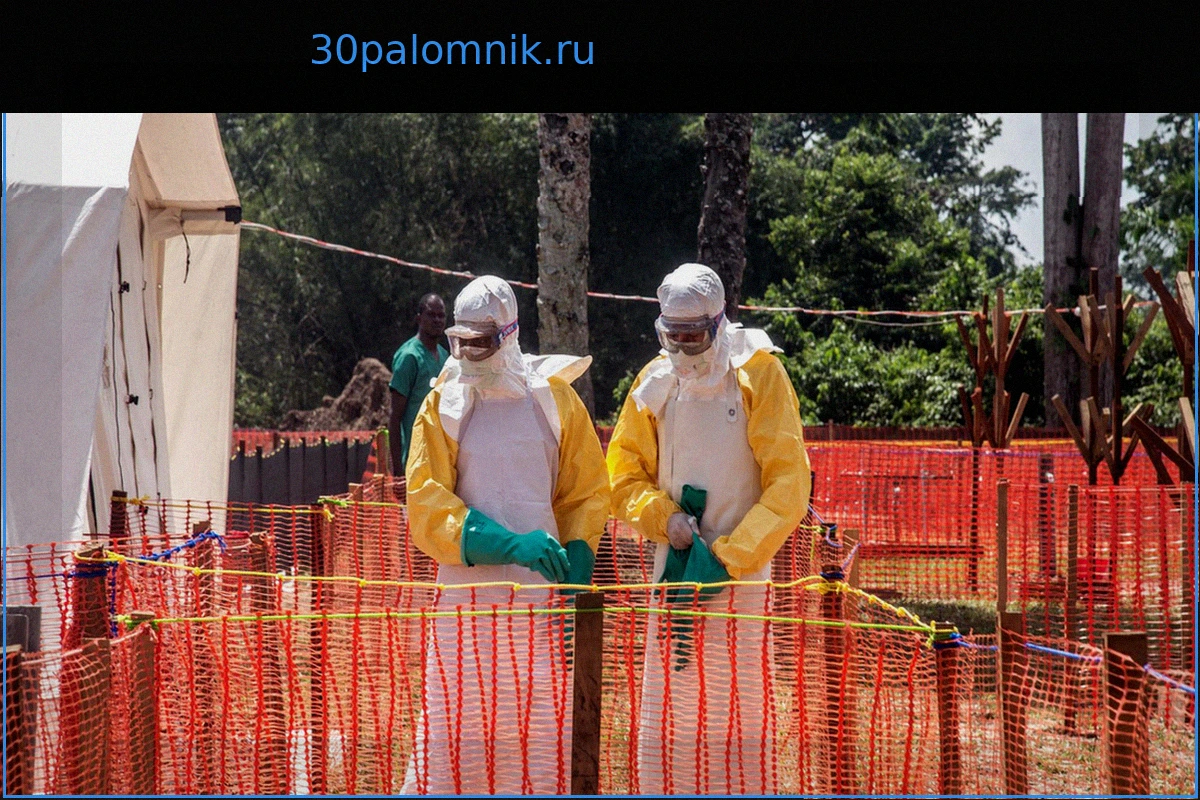 Майотта и угроза Эболы из ДРК: почему нужна бдительность?