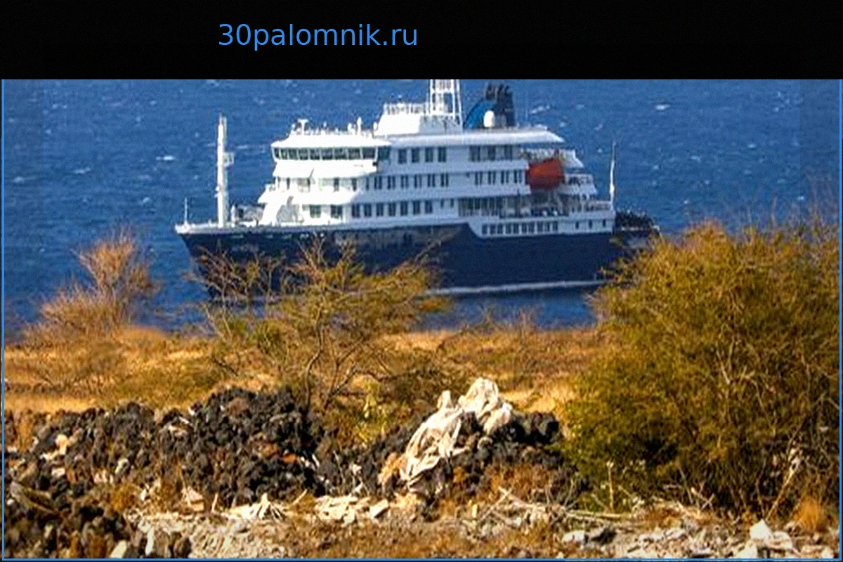 Хантавирус: ВОЗ объявила о завершении смертельной вспышки на круизном лайнере