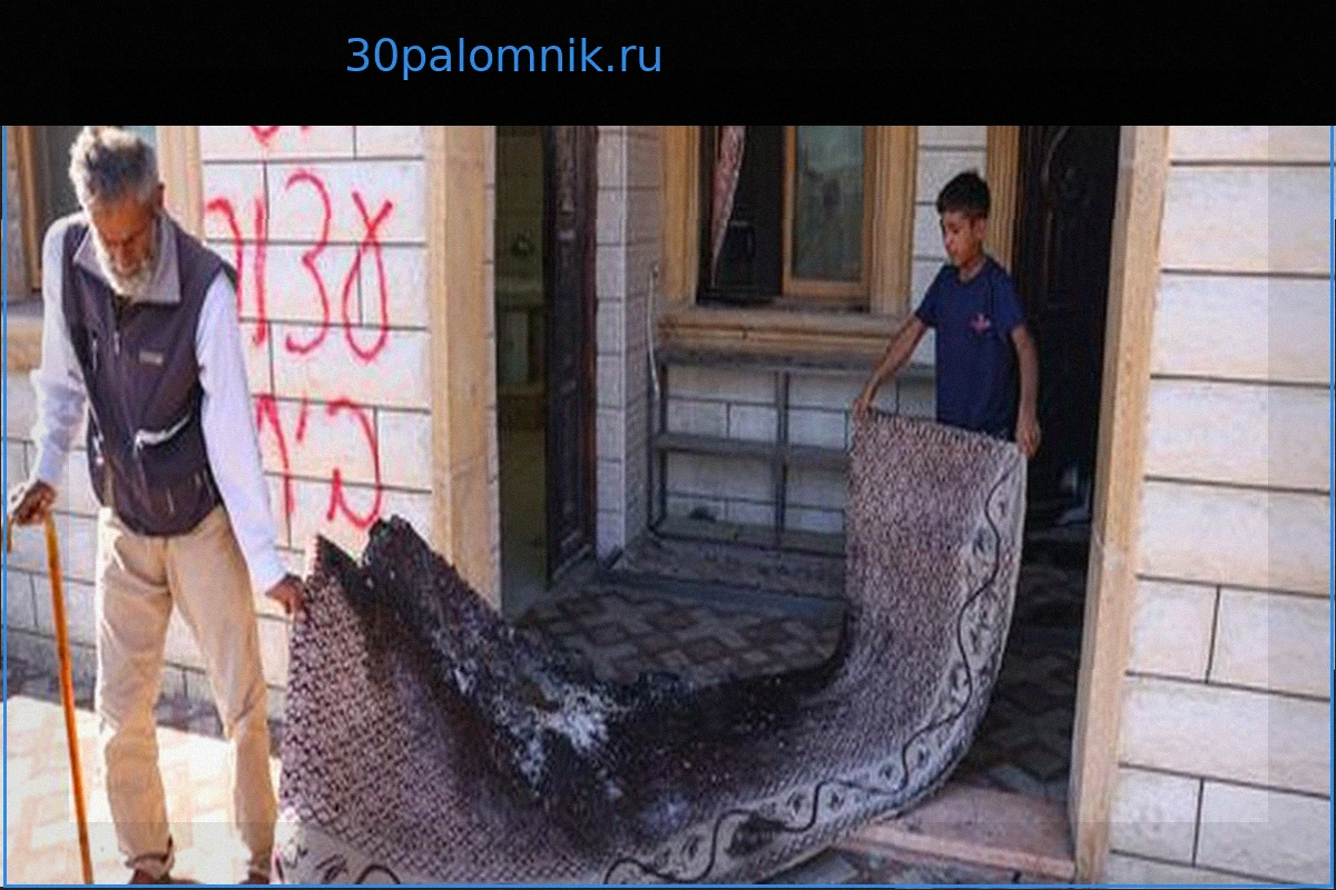 На Западном берегу поселенцы подожгли мечеть и жилые дома