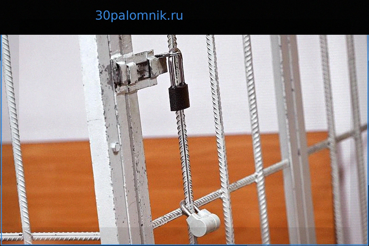 Звезда популярного шоу попал в тюрьму за попытку расправы над бывшей женой