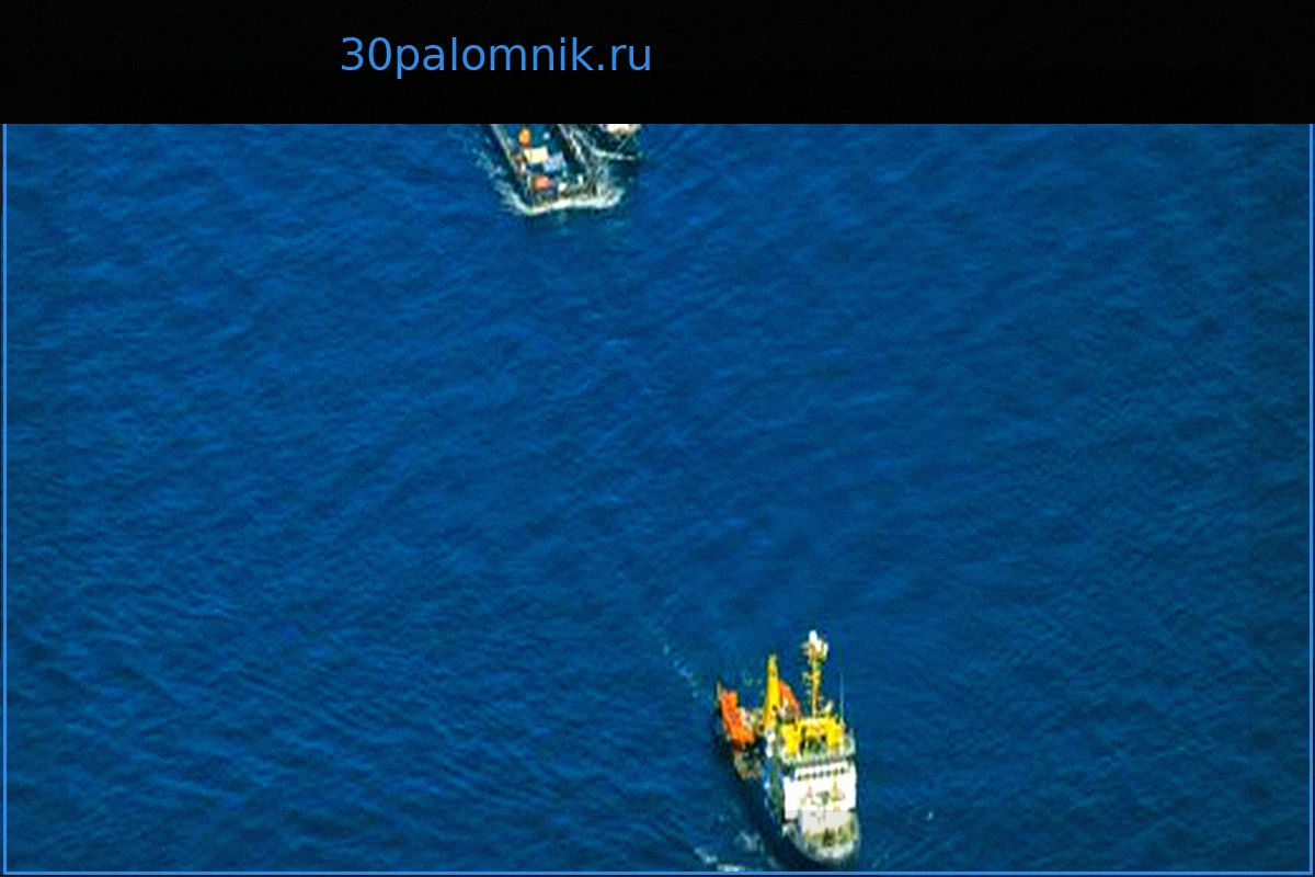 Мекленбург-Передняя Померания угрожает судебными исками частным спасателям кита