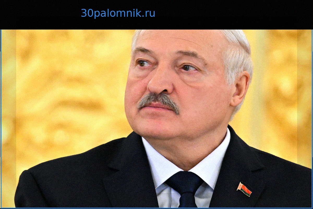 Россия раскритиковала санкции Украины против сыновей Лукашенко