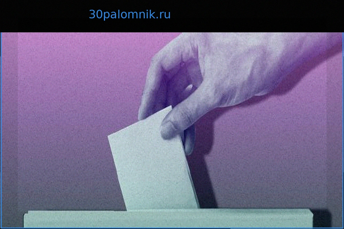 Жан-Филипп Дерозье, юрист: «Праймериз ведут к поражению больше, чем способствуют победе»