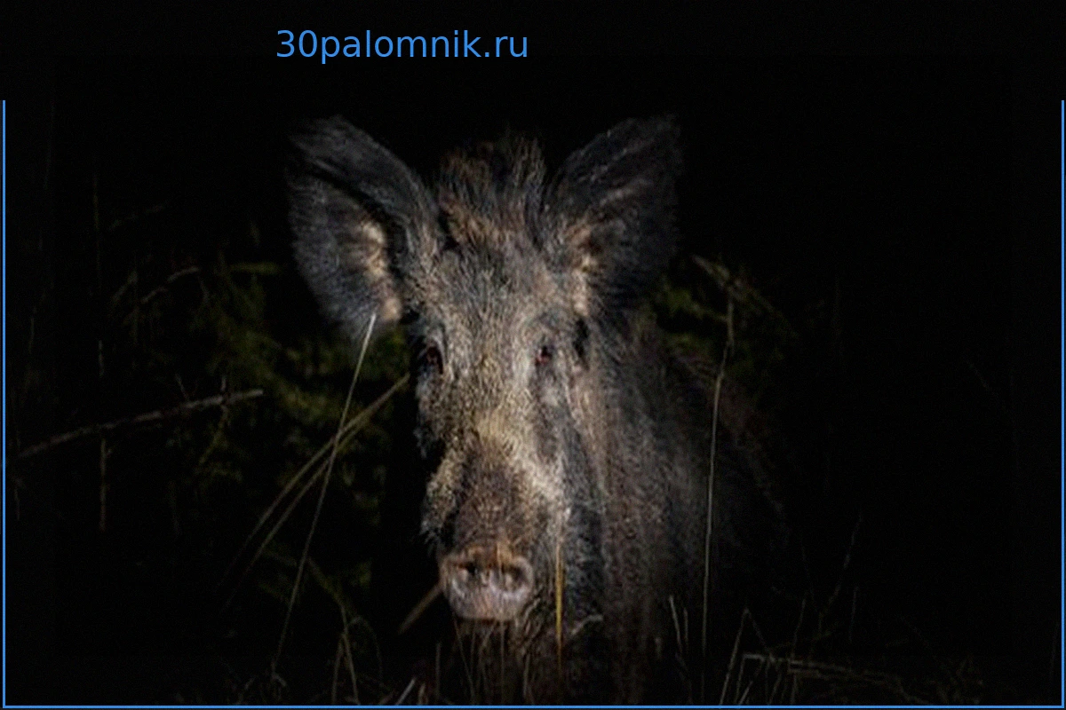 Церковь как резонатор: Уникальная акустика церковного пространства