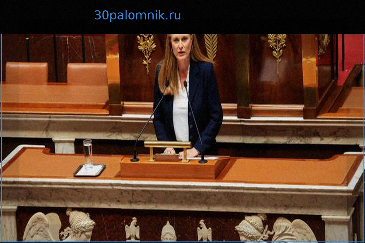 Национальное собрание Франции единогласно одобрило законопроект «пост-Бетаррам» по борьбе со школьным насилием