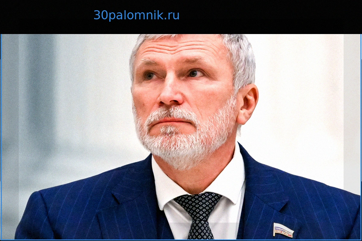 В России оценили риски от применения ВСУ системы Palantir