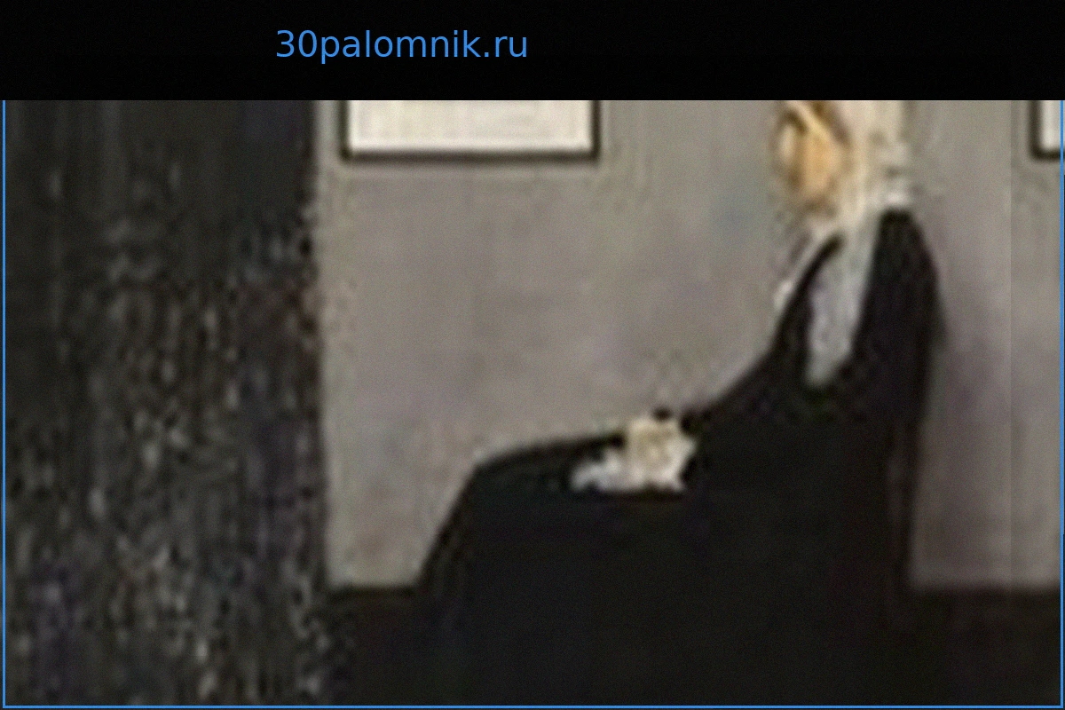 Парадоксальный успех: Как «Мать Уистлера» стала любимым американским шедевром, несмотря на мнение художника