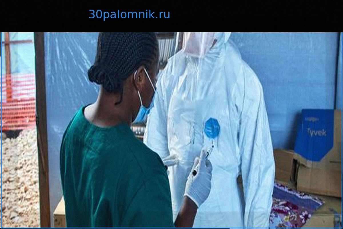 Вспышка Эболы в ДРК: Более 500 погибших, но есть надежда