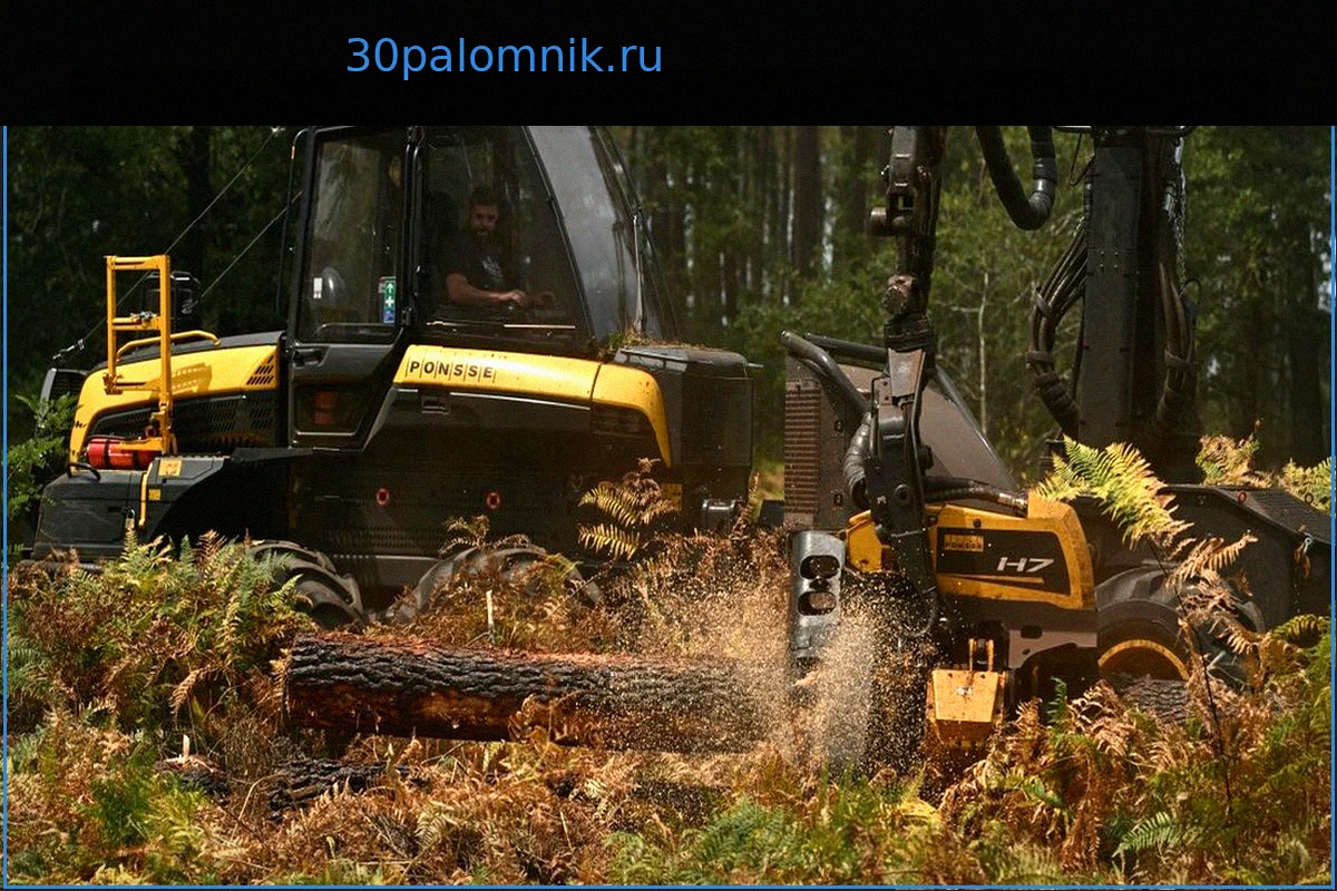 Пожар в Жиронде: Почему пожарные сосредоточились на «тактических просеках» в этот понедельник