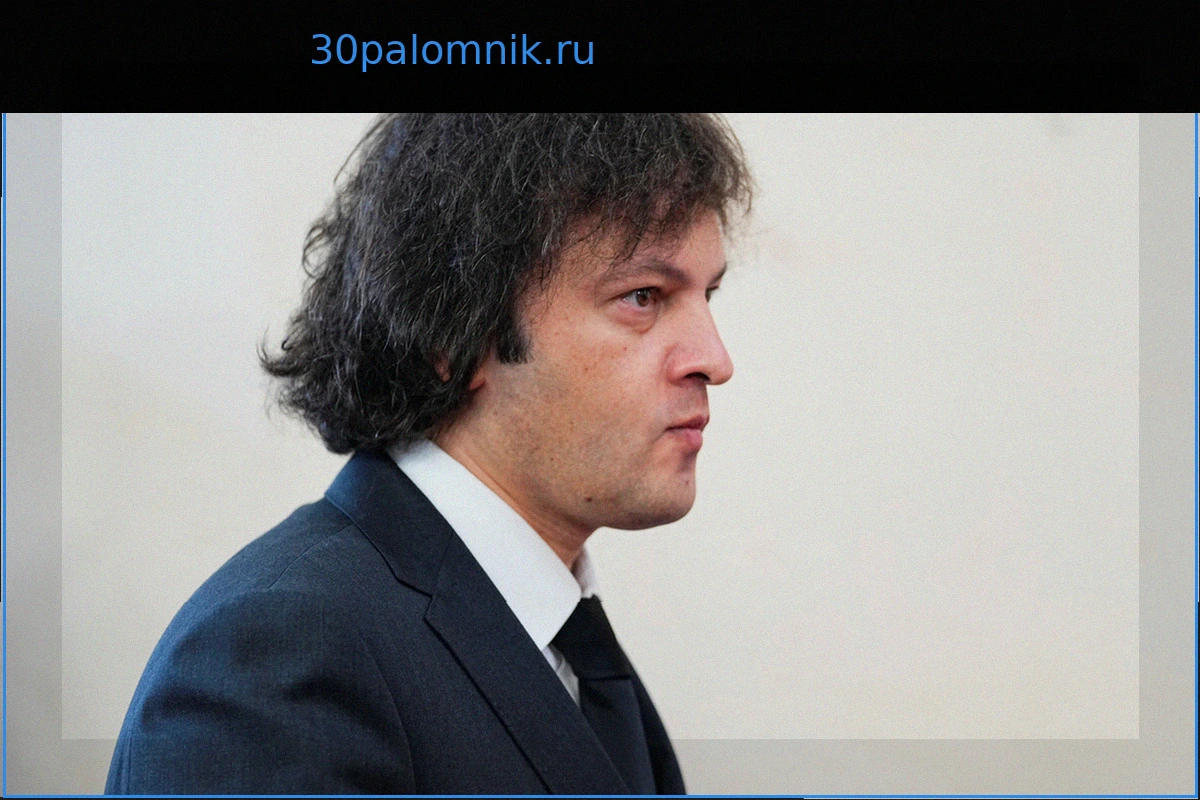 В Грузии возмутились встречей премьер-министра с Зеленским
