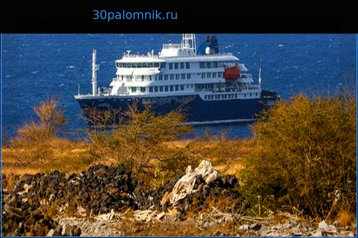 Хантавирус на круизном лайнере MV «Гондиус»: Аргентина ищет источник заражения