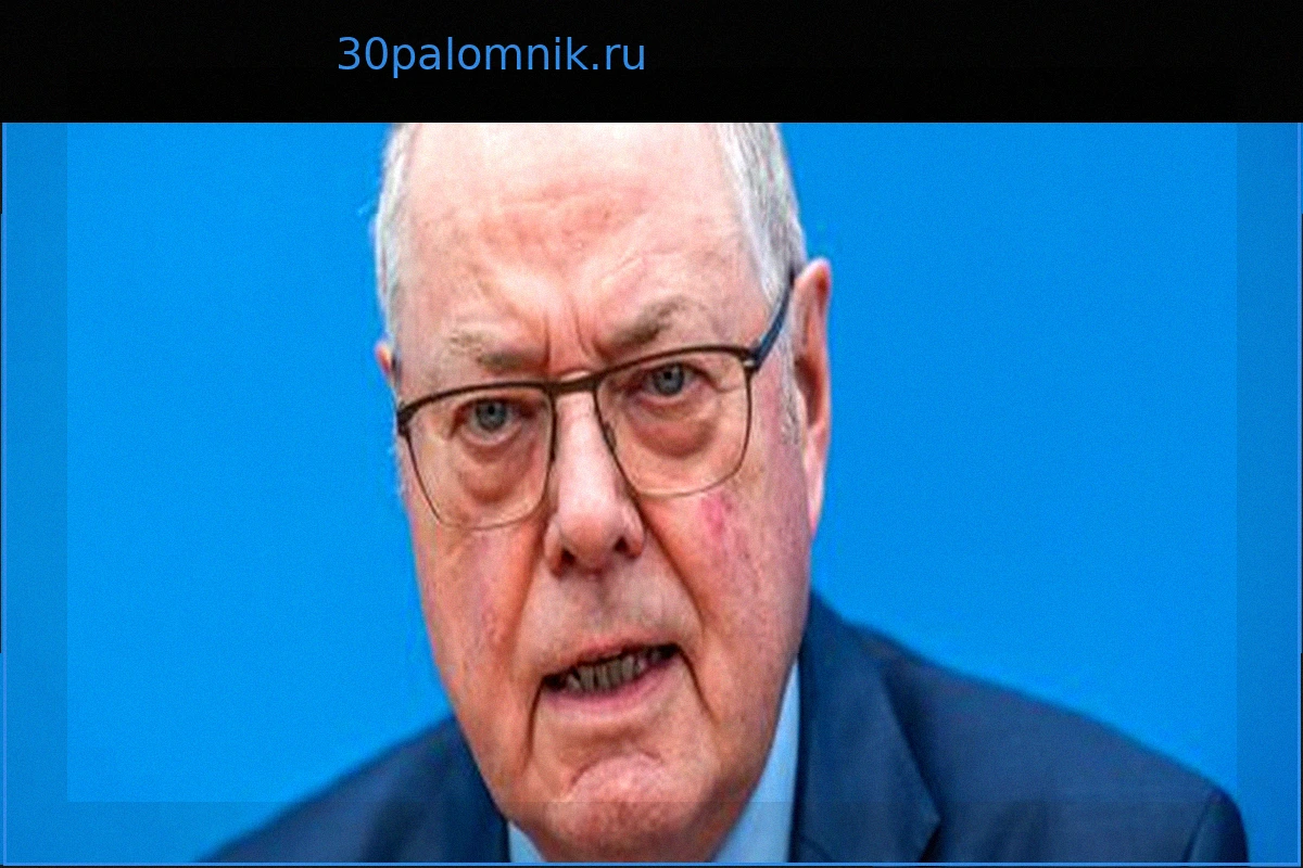 Пир Штайнбрюк предлагает новую стратегию в отношении AfD