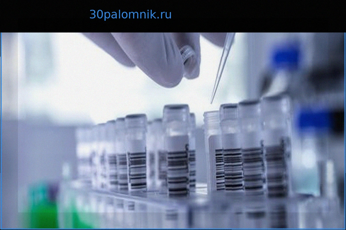 Лондонские близнецы: У сестер разные отцы